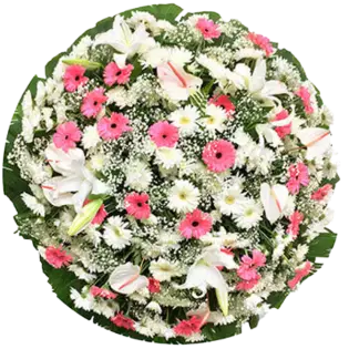 Coroa de Flores Elegance 04 BA elegance para entrega em Salvador - Floricultura online