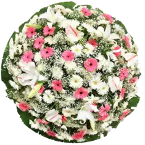 Coroa de Flores Elegance 04 GO elegance para entrega em Aparecida de Goiânia - Floricultura online