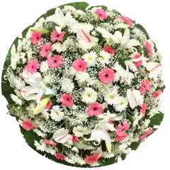 Coroa de Flores Elegance 04 BH elegance para entrega em Contagem - Floricultura online