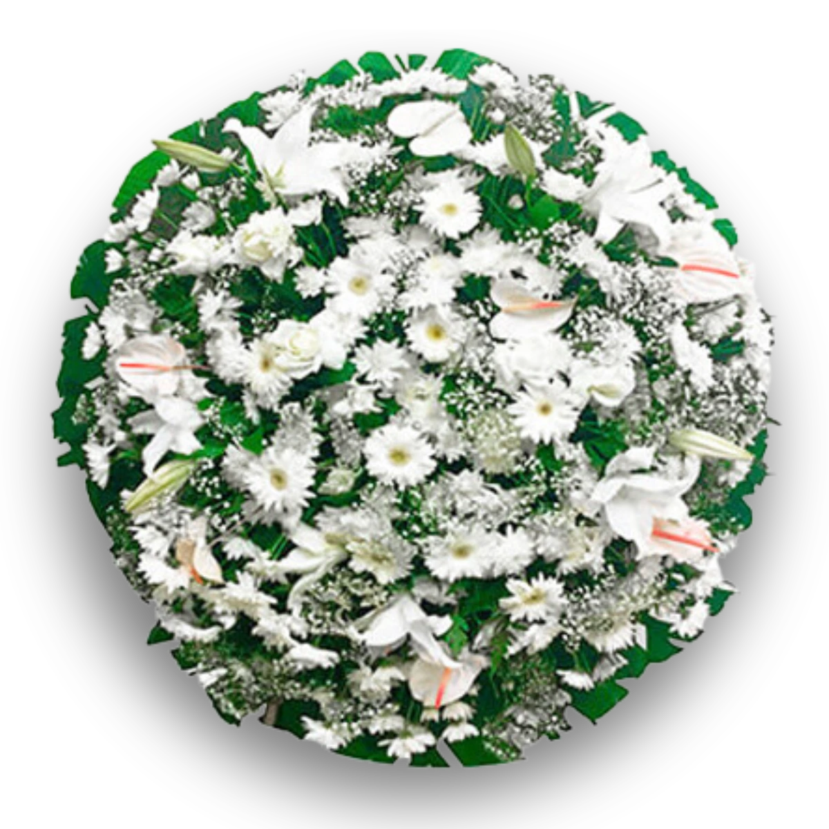 Coroa de Flores Exclusive 01 RJ exclusive para entrega em Rio de Janeiro - Floricultura online